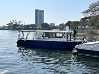 Bateau de pêche en aluminium miniature pour passagers, avec cabine, à vendre