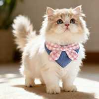 Collier-bavoir ajustable pour animaux de compagnie, motif floral, nœud papillon, en coton, fait main, personnalisé, avec clochette et perle, pour chats et petits chiens, vente en gros