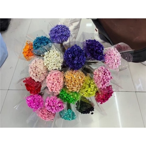 LUYI - Vente en gros de petites fleurs séchées naturelles brésiliennes, mini marguerites séchées pour la fête des mères, la Saint-Valentin, Pâques - Product Image 4