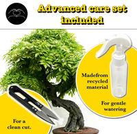 Bonsai Wisteria Grow Kit-Cultivez votre propre bonsaï Bro, cadeaux pour femmes et hommes, Bonsai Starter Kit