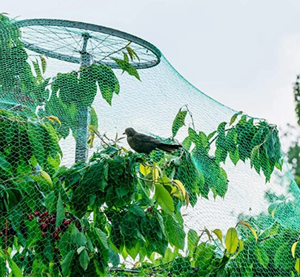 <span class=keywords><strong>Hdpe</strong></span> الصيد الطيور الزراعية بركة الصيد حديقة بستان الكرم المعاوضة الطيور للبيع - Product Image 3