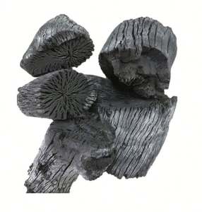 100% Natural Lychee Binchotan Charcoal Stick Madera dura de larga combustión para barbacoa y parrilla hecha de madera Premium - Product Image 2