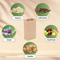 Sacs alimentaires en papier kraft personnalisés avec logo imprimé, écologiques, réutilisables, robustes et durables, avec poignées plates/torsadées, pour emballage de médicaments, petit format