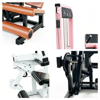 Machine de musculation commerciale 2-en-1 pour flexions et extensions des jambes, double fonction, en acier, pour centre de fitness et musculation