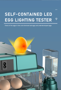 Tự động 20 trứng Công suất lồng ấp Chick nở Máy Nhà Máy giá bán buôn với giấy chứng nhận CE - Product Image 4