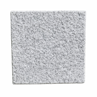 Panneaux de revêtement mural extérieur modernes en granit blanc naturel sablé, dalles grises durables pour façade extérieure, garantie 5 ans