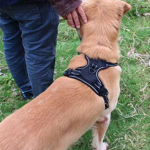 <span class=keywords><strong>Correa</strong></span> de nailon Oxford con <span class=keywords><strong>doble</strong></span> <span class=keywords><strong>correa</strong></span> <span class=keywords><strong>para</strong></span> el pecho <span class=keywords><strong>para</strong></span> <span class=keywords><strong>perros</strong></span> <span class=keywords><strong>pequeños</strong></span> y medianos, productos reflectantes <span class=keywords><strong>para</strong></span> mascotas <span class=keywords><strong>para</strong></span> una mejor visibilidad, <span class=keywords><strong>correa</strong></span> <span class=keywords><strong>para</strong></span> el pecho <span class=keywords><strong>para</strong></span> <span class=keywords><strong>perros</strong></span> - Product Image 2