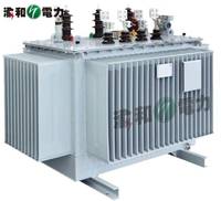 Transformador de Distribución Trifásico Sumergido en Aceite S11 IEC60076 Estándar 1mva 1600kva 2500kva 35kV 10kV 50/60Hz ONAN