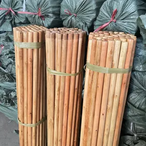 Prodotti per la pulizia articoli per la casa bastone di legno scopa bastone in legno con paletta spazzola manico per scopa PP testa