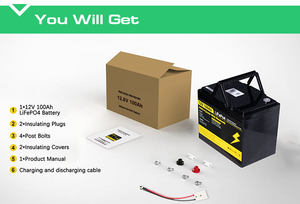 Batterie Lithium LiFePO4 12V 24V 100Ah 200Ah 300Ah à décharge profonde pour panneau solaire et moteur de pêche à la traîne – Entrepôt UE Pologne - Product Image 6