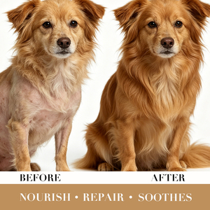 Coat Growth Recovery Cream for <b>Dogs</b> Cats - Product Image 2