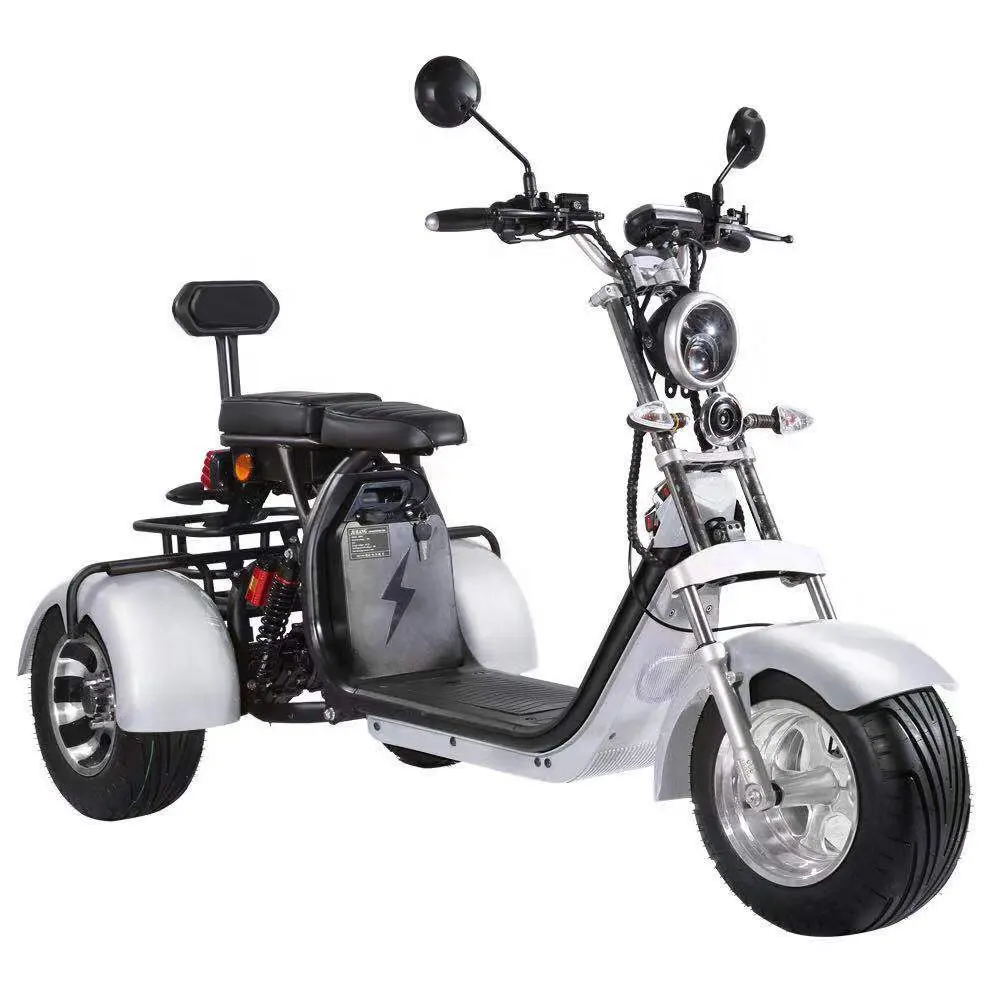 Dogboes EEC/COC Электрический трехколесный велосипед 60V40AH съемный литиевый аккумулятор мощный Двухместный гольф мобильный трехколесный велосипед Электронный