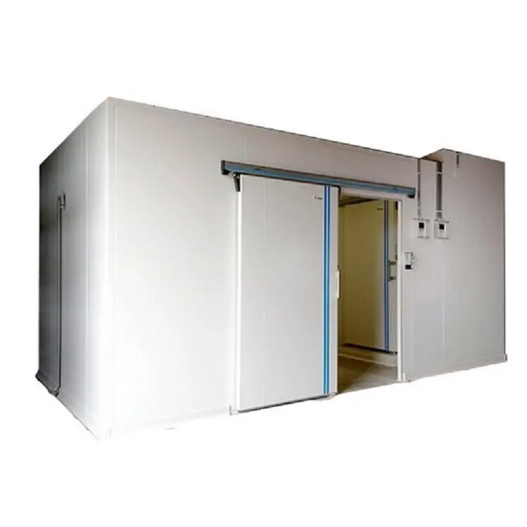 XMK dondurulmuş soğuk oda yoğuşmalı ünite ve evaporatör ile dondurucu konteyner soğuk depolama soğutma makinesi yürümek