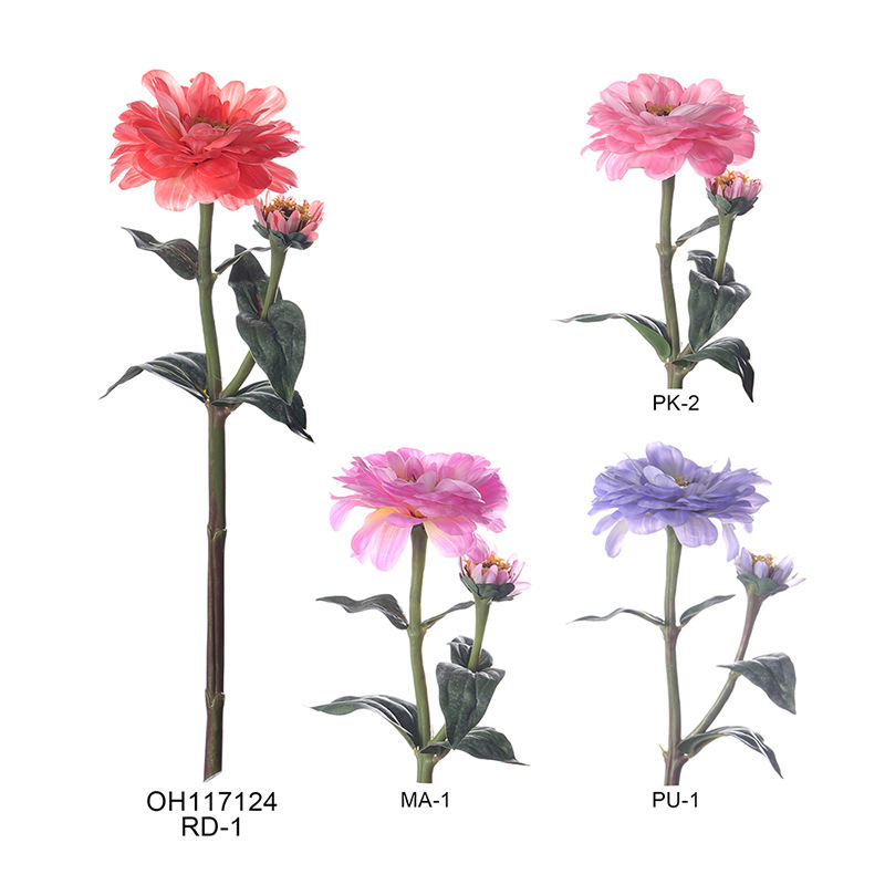 กุหลาบต้นแมดเด