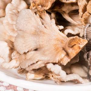 <span class=keywords><strong>Champignons</strong></span> Schizophyllum Commune Blancs Naturels Sauvages Séchés à Lames Fendues à Vendre - Product Image 4