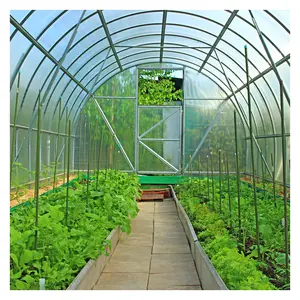 Hoge Tunnel Kassen Film Agrarische Enkellaags Enkellaags Landbouwkas Voor Tomaten