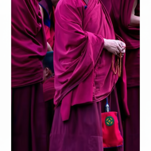 Tela de camiseta de poliéster de alta calidad 100%, tela de algodón de tejido liso - Product Image 1