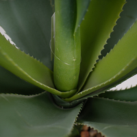 Plante artificielle Agave Bonsaï décorative pour la maison, style moderne vert, en plastique, pour intérieur/extérieur, durée de vie de 2 à 3 ans