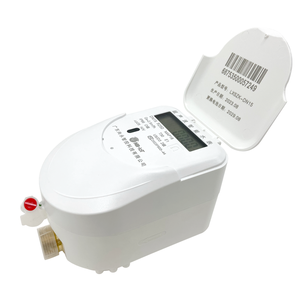 Débitmètre ultrasonique LoRaWAN/GSM/NB-IoT avec protection IP66/IP67/IP68, connectivité filetée en cuivre et alerte précoce pour l'eau - Product Image 1