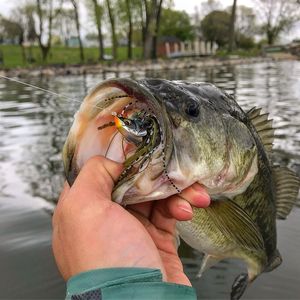 Esca artificiale 13g gonna in <span class=keywords><strong>silicone</strong></span> metallo jigs <span class=keywords><strong>esche</strong></span> pesca nuoto testa di giga <span class=keywords><strong>spigola</strong></span> pilker sale acqua dolce lama pesca jig piombo - Product Image 5