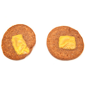 Galletas para Perros con Queso y Pescado, Ricas en Omega 3 para la Salud de la Piel y el Pelaje, Golosinas Naturales para Perros de Alta Palatabilidad - Product Image 1