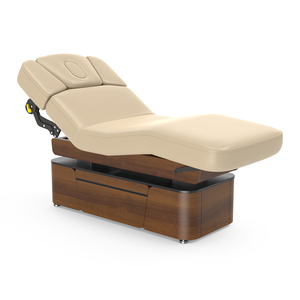 Table de massage électrique à double colonne Mt Lynn-Heaven confortable pour salon de beauté, avec fonctions réglables - Product Image 1