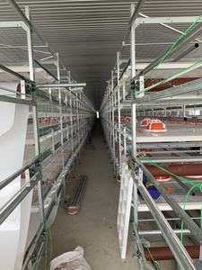 Korozyona Dayanıklı Özelleştirilebilir Kanatlı Hayvanlar İçin Otomatik H Tipi Broiler Kafesi Tavuk Yetiştirme Ekipmanı - Product Image 5