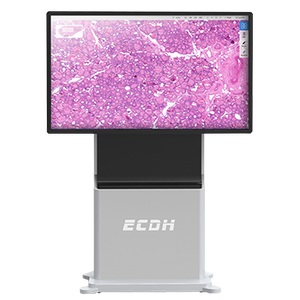 Anatomia humana sistema ensino realidade virtual anatomia modelo anatomia ensino facilitado virtual dissecção sistema ensino - Product Image 2