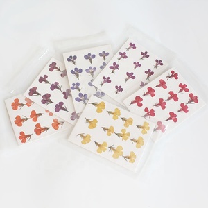 M003 coque de téléphone DIY préservée vraie <span class=keywords><strong>fleur</strong></span> séchée pressée résine Nail Art bijoux cadre <span class=keywords><strong>Lobelia</strong></span> petites fleurs séchées <span class=keywords><strong>fleur</strong></span> naturelle - Product Image 5