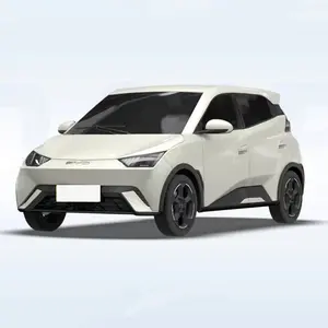 Ucuz elektrikli otomobil yeni varış marka yeni Modern oto 2024 Seagull martı EV araba 305km aralığı 5-door 4-seat yeni enerji araba