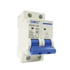 SeanRo Protection Overload Overvoltage Miniature breakers Circuit Short mcb 2-pole 100-amps 120 240-volts circuit breaker