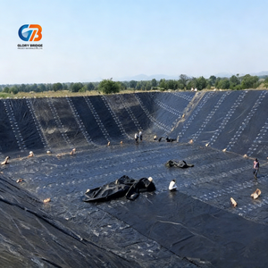 Coût de la géomembrane lisse en HDPE de 2 mm pour les décharges de déchets dangereux - Product Image 4