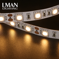 Bande lumineuse LED de 5 mètres, haute luminosité, pour salon intérieur, IP65, SMD5050, 60 LED/m, largeur 10 mm, DC12V/24V, 10W, certifiée ETL