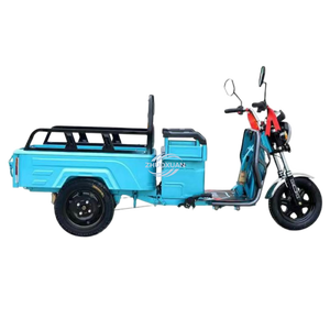 Tricycle électrique de transport flexible à structure légère, capacité de charge maximale de 500 kg - Product Image 3