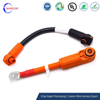 Câble de batterie haute tension en cuivre étamé isolé XLPE, faisceau de câbles étanche IP67 pour stockage d'énergie automobile et recharge de véhicules électriques