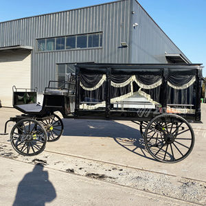Carroza Fúnebre Europea Clásica con Elegante Diseño de Cortinas con Flecos, Vehículo para Servicios Conmemorativos - Product Image 4