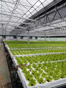 नर्सरी के साथ हाइड्रोपोनिक स्वचालित प्रणाली के लिए नई शैली सौर ग्रीनहाउस - Product Image 4