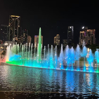 Fontaine musicale de danse de haute qualité en acier inoxydable avec éclairage LED moderne pour décoration extérieure de place publique ou lac, garantie 2 ans
