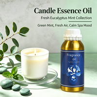 Huile Essentielle Parfumée Eucalyptus Menthe Calme et Relaxant pour Bougies, Huile de Parfum pour Fabrication de Bougies Parfumées, En Stock