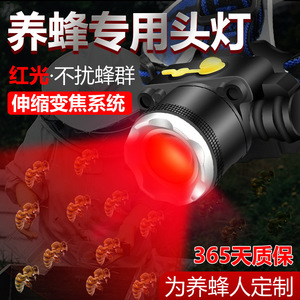 led - Product Image 3