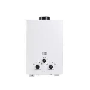 Custom Flue exhaust Wall Mounted Lpg Natural Tankless Geyser Water Heater Pulse Automatic Ignition Ng Gas Water Heaters