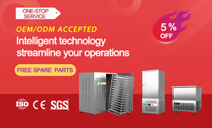 Prosky 5/6 khay kem cứng loại thực phẩm đông lạnh tủ nhỏ sốc nhanh chóng Vụ Nổ sâu Flash Tủ đông thương mại - Product Image 2