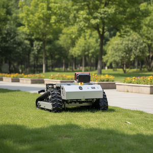 High-quality 4-stroke Petrol Lawn Mower 1500W Power 1 Year Warranty - Product Image 2