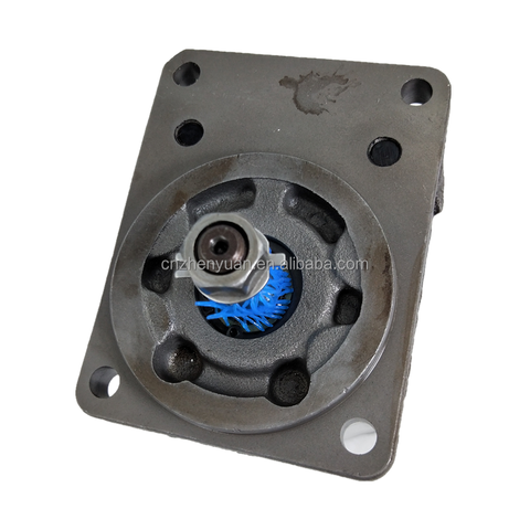 0511545602 AZMF-10-011USA20ML AZMF-12-019UKR12ML-S0307 External Meshing Gear Motor AZM AZMB/AZMF/AZMN/AZMG