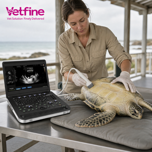 Escáner de Ultrasonido Veterinario, Equipo de Ultrasonido Médico con Sonda para el Departamento de Cardiología - Product Image 1