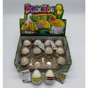 Nouveaux produits créatifs : Jouets d'éclosion de scarabées magiques avec œuf de cheval Kinney - Product Image 6