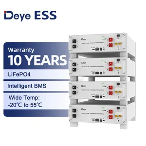 Deye ESS SE-G5.1Pro-B 2024 nuovo lifepo4 batteria a ciclo profondo al litio per il sistema di energia solare