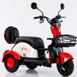 Tricycle Motorized Cargo Electric Bicycle Three Wheel Electric Scooters Bike Electric Tricycle for Adults - Product Image 6