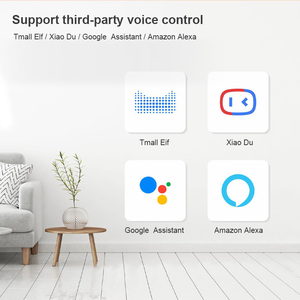 2026 New Arrival Smart Home System With <b>Alexa</b> Voice Control Function Suitable for Home and Hotel Smart Home - Product Image 6