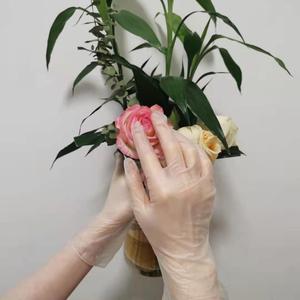 Top Clean Disposable PVC <b>Gloves</b> Smlxl For Kitchen Bathroom Flower Shop Beauty Salon Household Use - Product Image 1